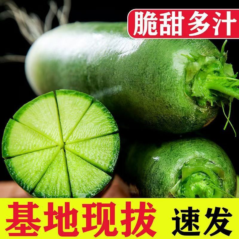 水果萝卜新鲜生吃甜脆青萝卜脆非胡萝卜萝卜当季蔬菜批发