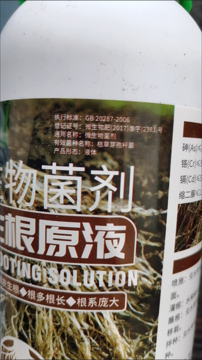 爆根原液强力生根壮苗剂移栽扦插果树花卉绿萝专用促生根壮根