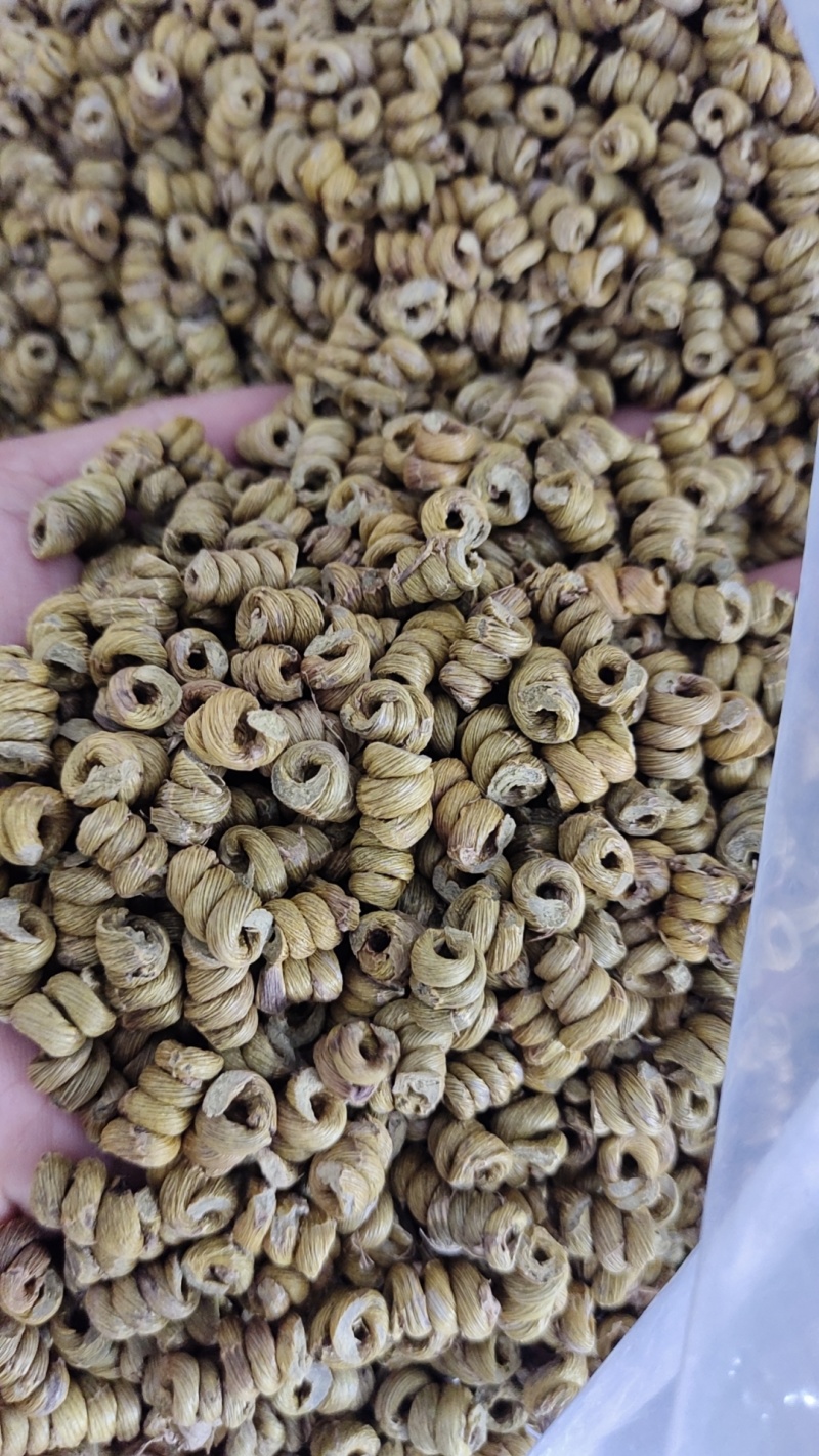 铁皮石斛(0.8）枫斗颗粒