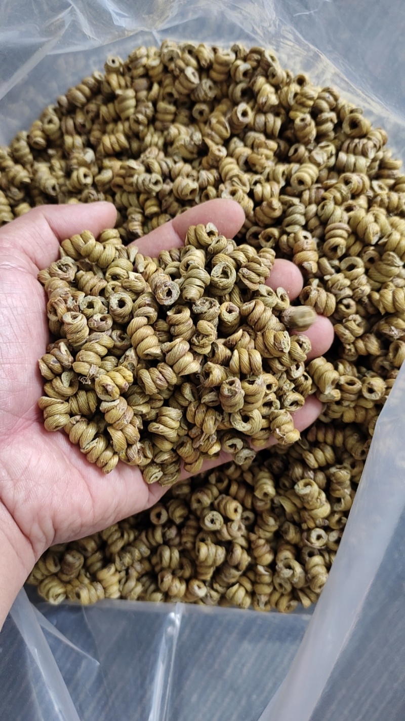 铁皮石斛(0.8）枫斗颗粒