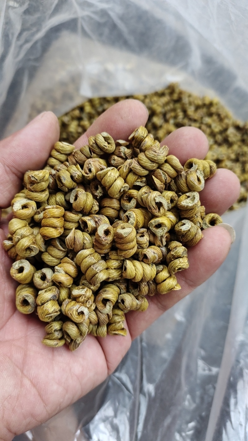 铁皮石斛(0.8）枫斗颗粒
