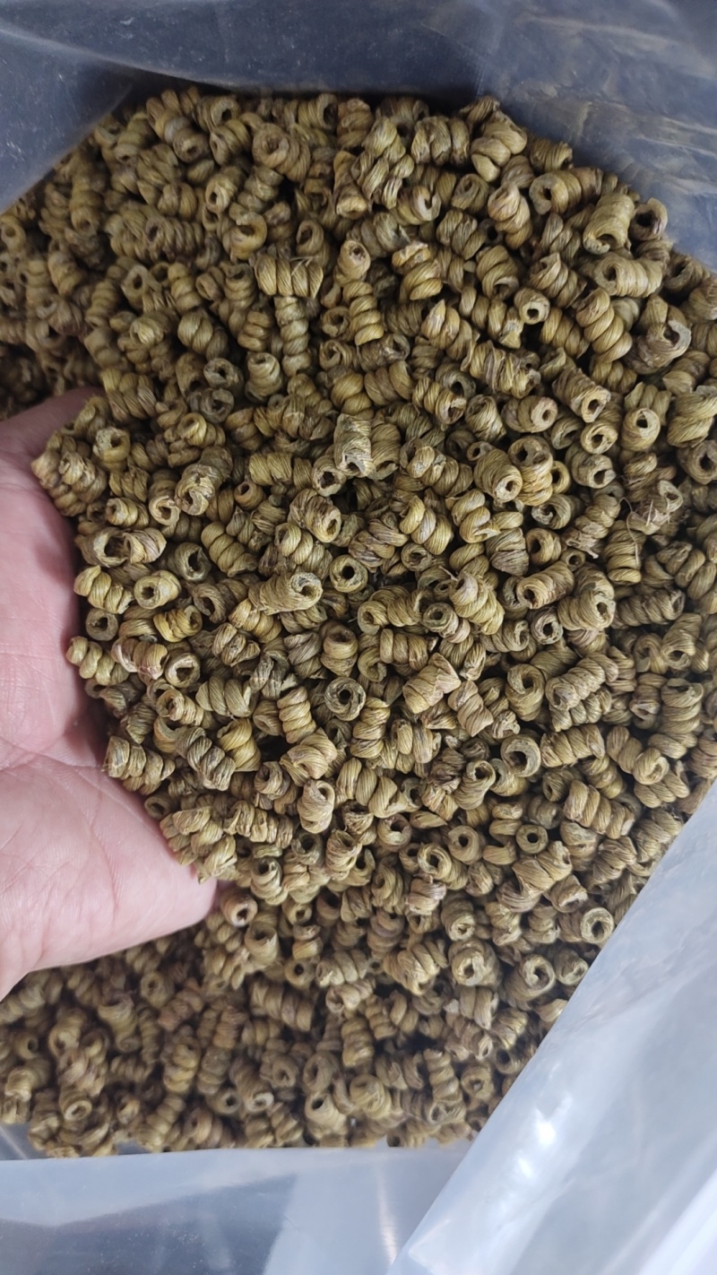 铁皮石斛(0.8）枫斗颗粒