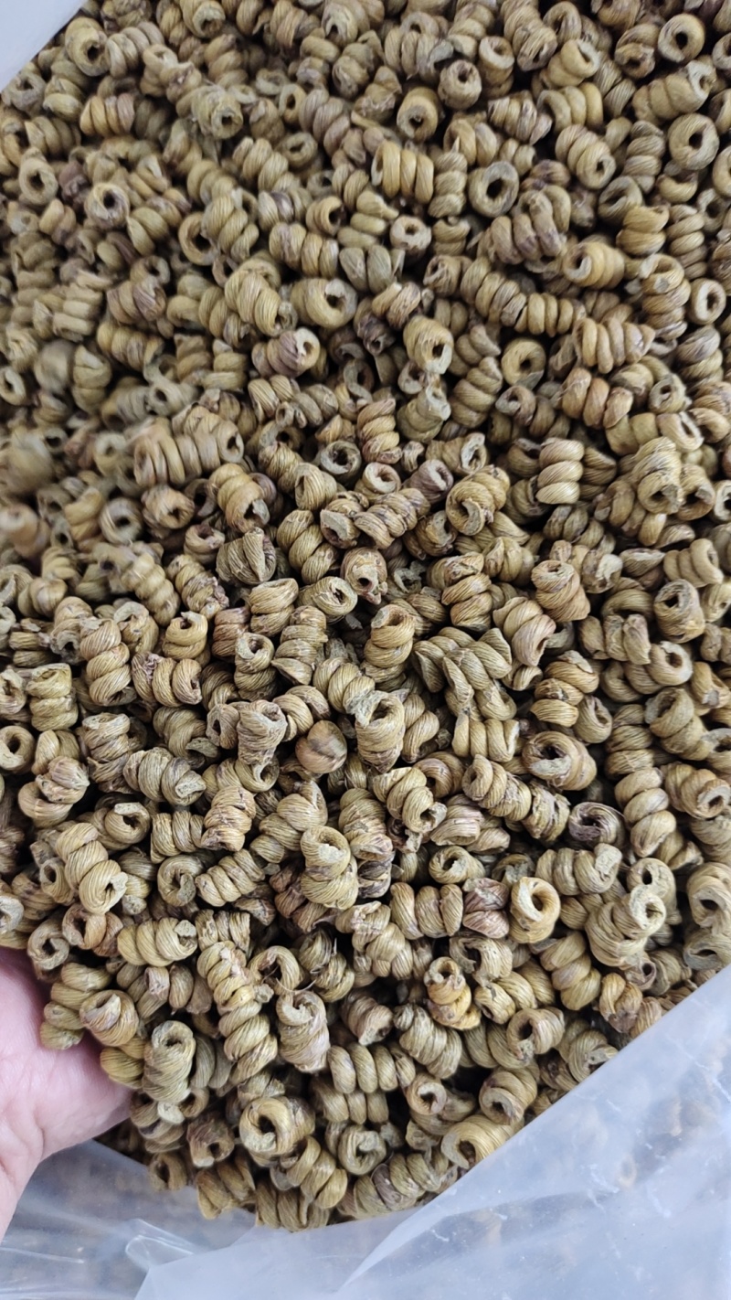 铁皮石斛(0.8）枫斗颗粒