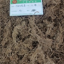千针万线草各种中草药冷了背药材名贵药材多种药材一起批发