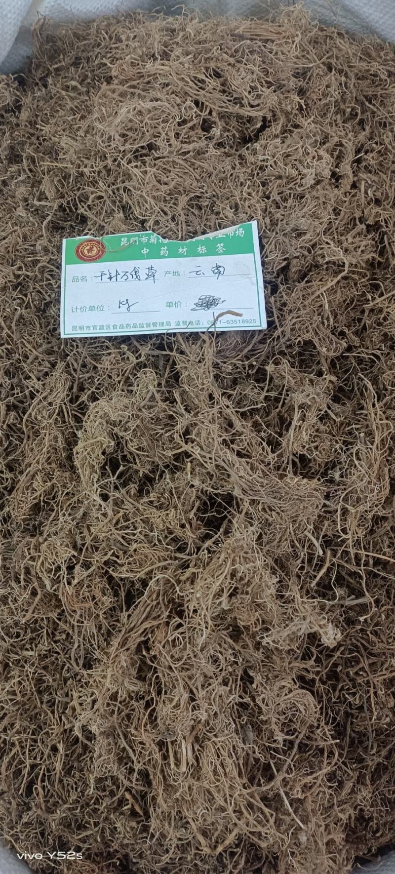 千针万线草各种中草药冷了背药材名贵药材多种药材一起批发