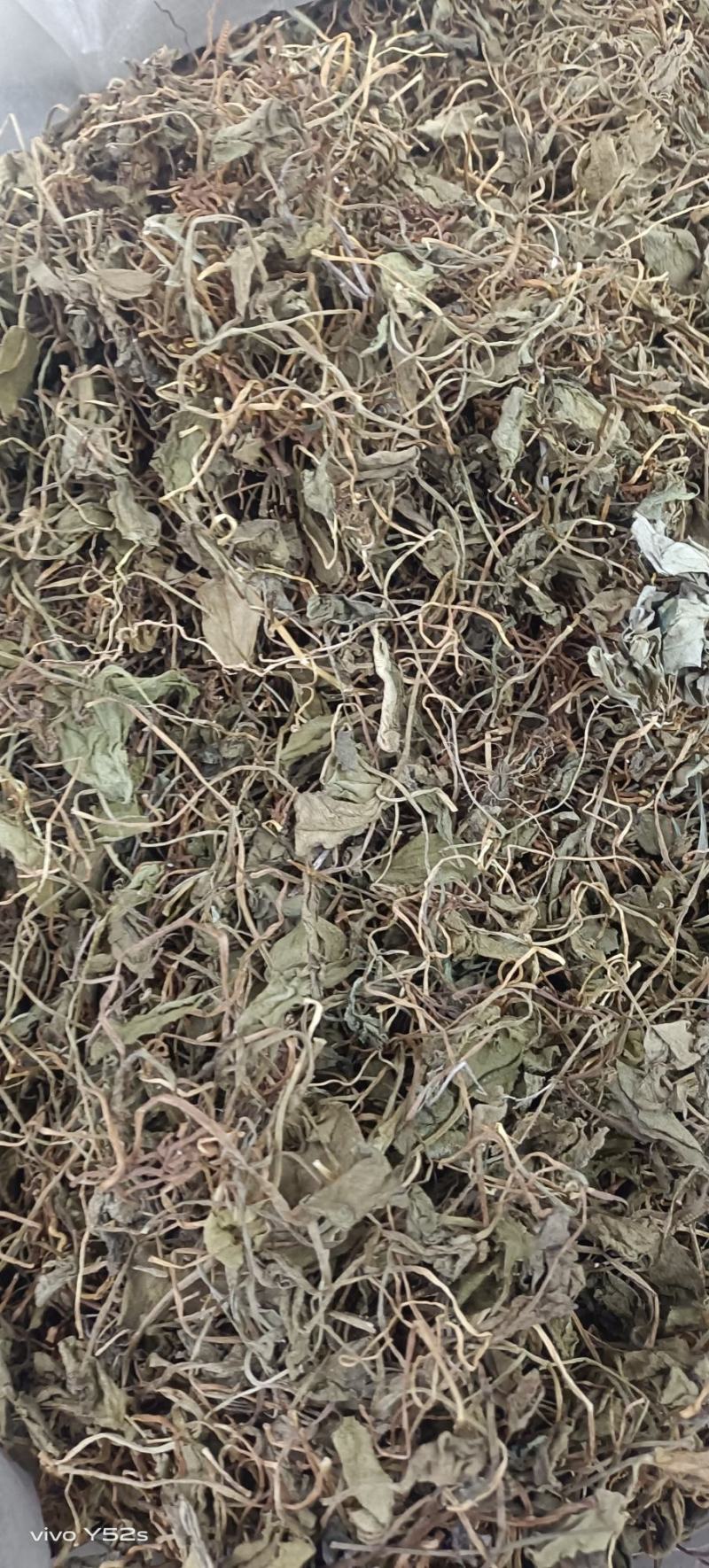 蛇须草各种中草药，冷背药材，名贵药材，一手货源产地直销