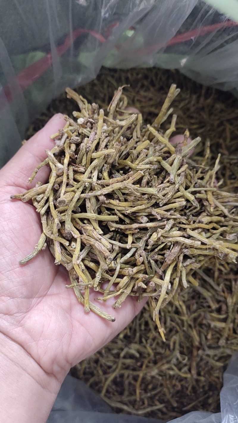 铁皮石斛炒下来的边角料
