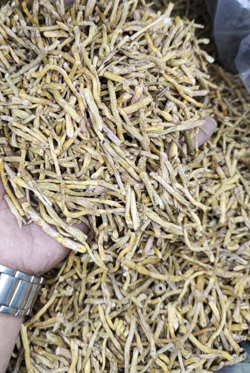 铁皮石斛炒下来的边角料