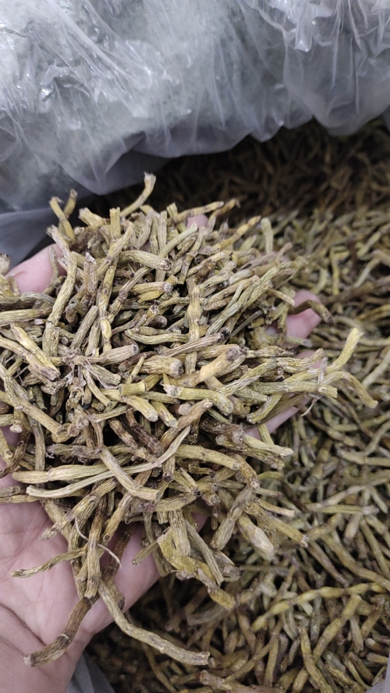 铁皮石斛炒下来的边角料