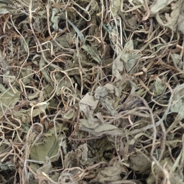 一支箭蛇须䓍各种冷背药材，多种药材批发