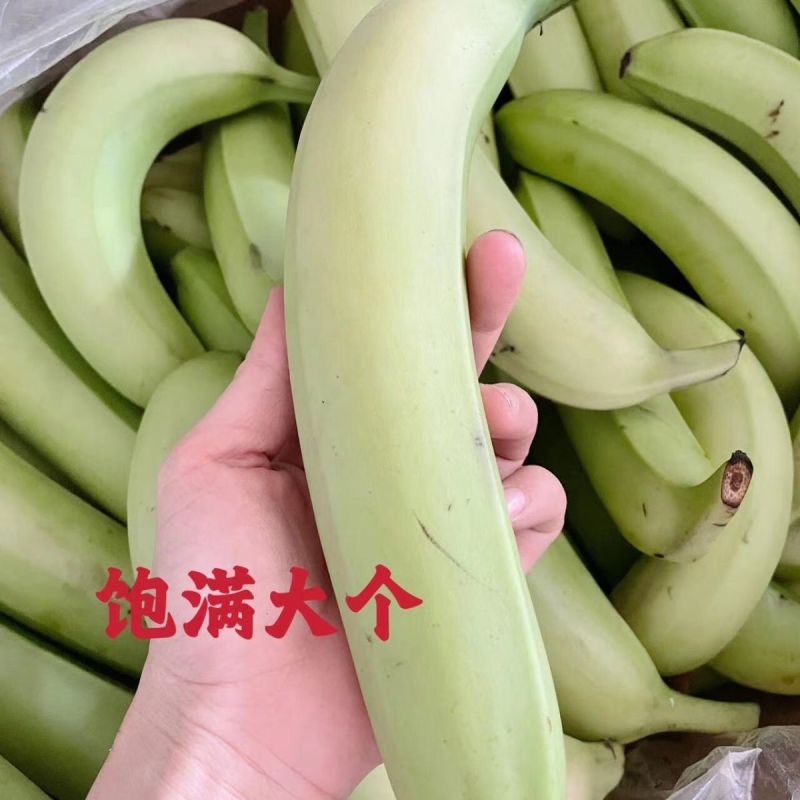广西单个大果香蕉批发高山特产新鲜青皮当季包邮孕妇特价自然整箱