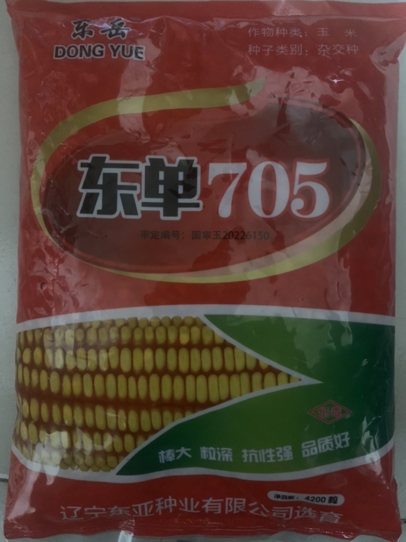 高产可密植东单705，1331升级版，高抗锈病高抗黄疸
