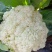 湖北产区有机花菜松花菜产地直发品质保障诚信第一欢迎选购