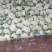 湖北产区有机花菜松花菜产地直发品质保障诚信第一欢迎选购
