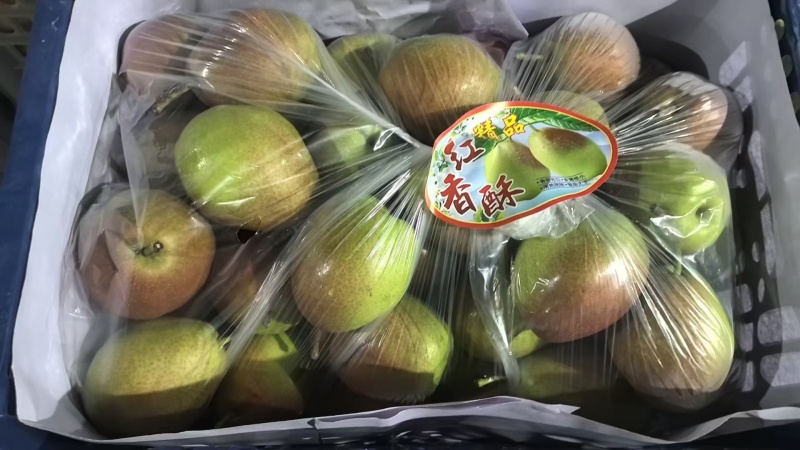 红香酥梨批发，新疆库尔勒香梨批发，红香酥梨基地价格