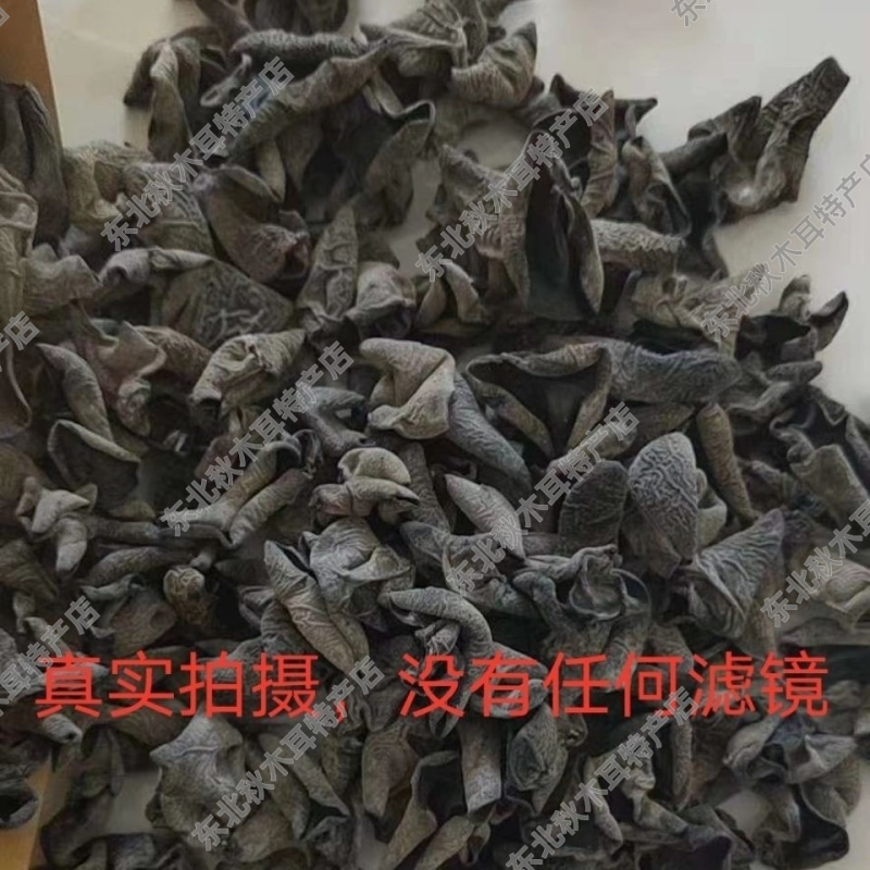 东北秋木耳全网***小碗肉厚无根的