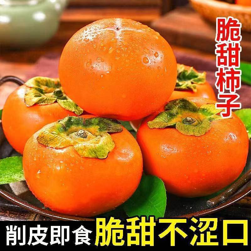 【脆甜】广西巧克力脆柿冰糖心4.7/8.7斤硬柿子大果代发