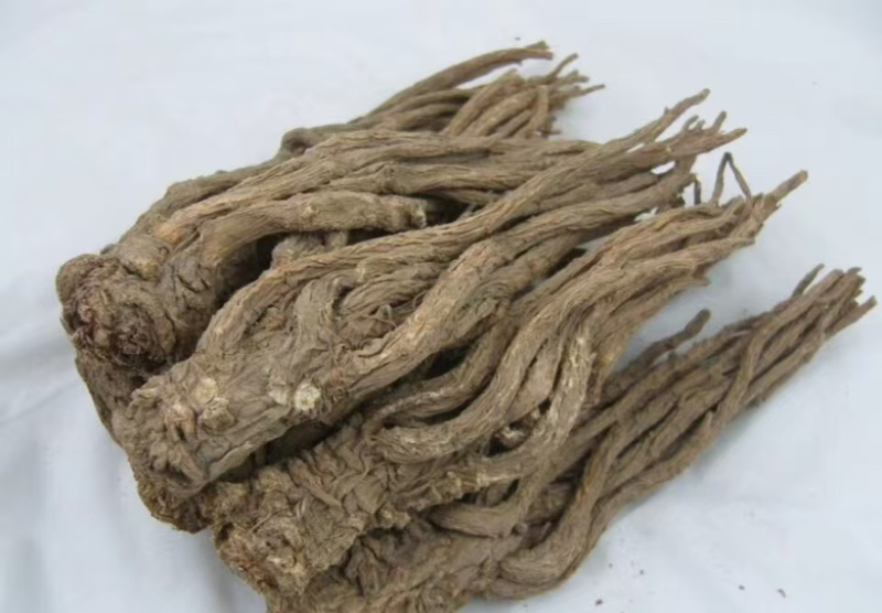 中药材，精品当归，甘肃定西药材基地直发品质保障量大从优