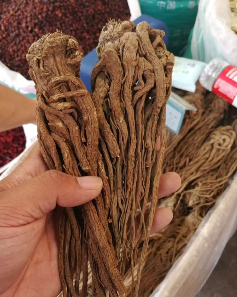 中药材，精品当归，甘肃定西药材基地直发品质保障量大从优