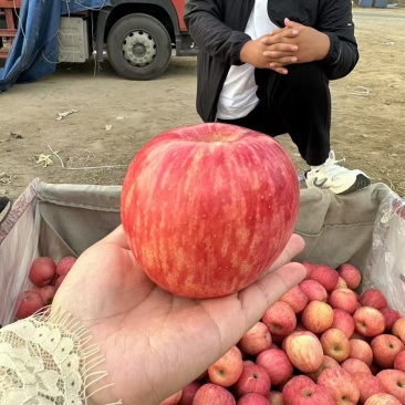 丑苹果