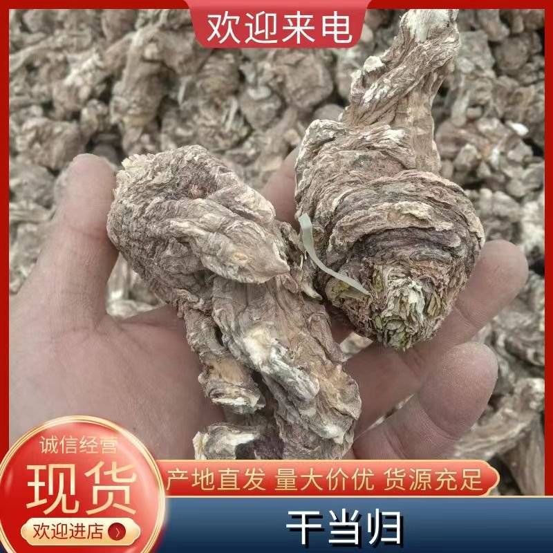 四川【精品中药材当归头】产地直发货源充足量大从优