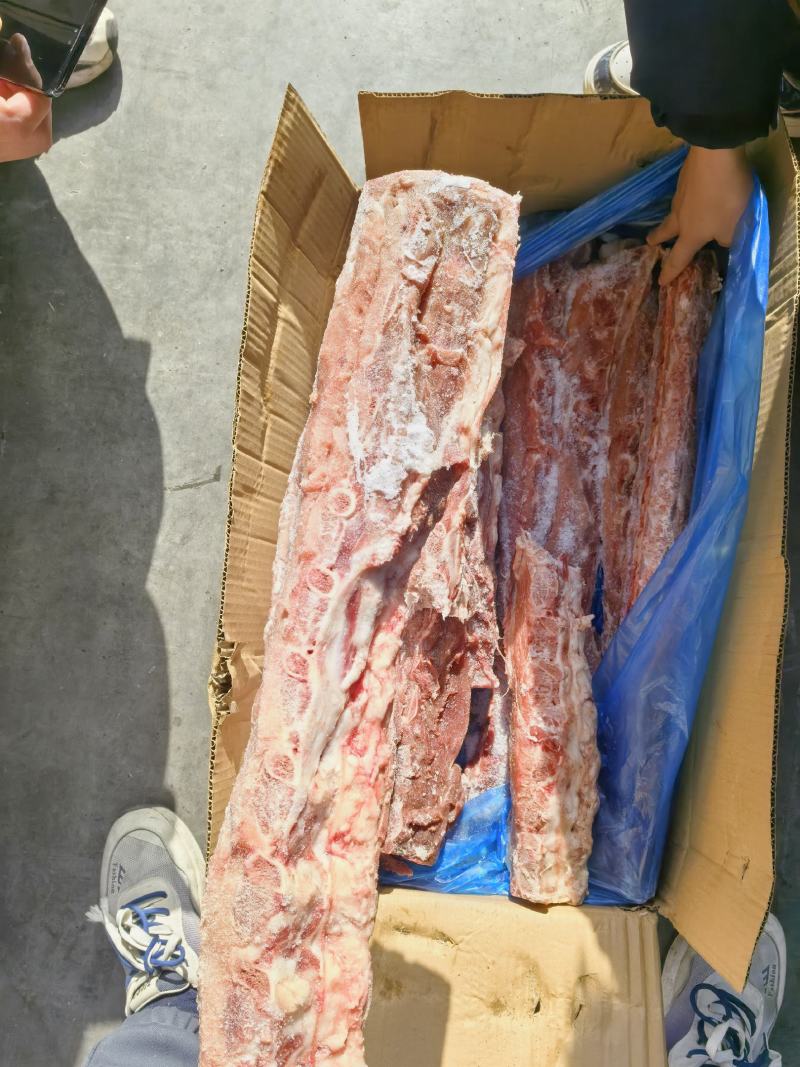 母猪龙骨带肉率40-50%