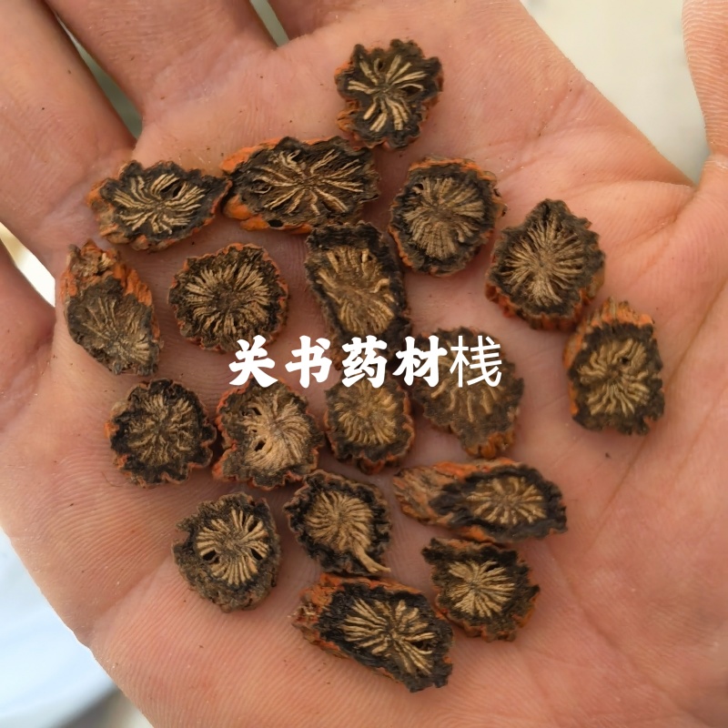 紫丹参选山东紫丹参发汗片菊花芯关书药业批发中药材