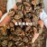 紫丹参选山东紫丹参发汗片菊花芯关书药业批发中药材
