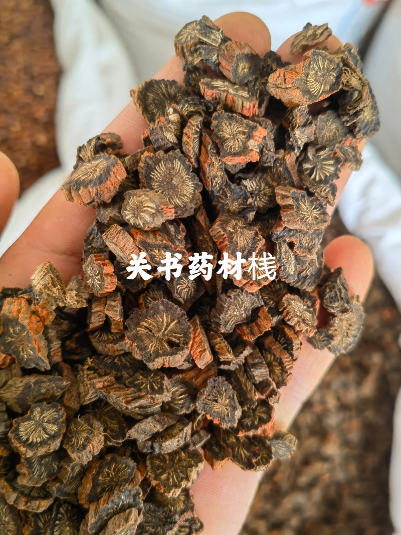 紫丹参选山东紫丹参发汗片菊花芯关书药业批发中药材