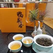 雪鸭屎香茶水清甜香气高昂《现货秒发》