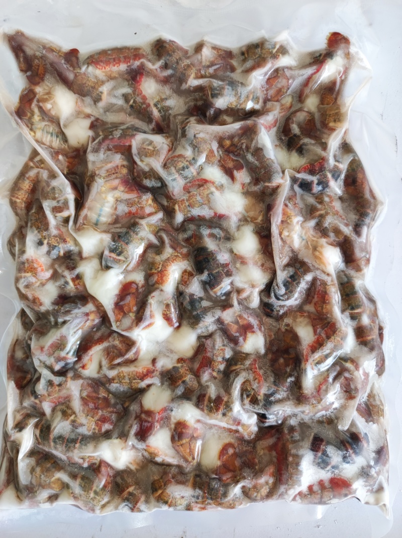 活虾现剥去虾头虾线小龙虾鲜虾尾