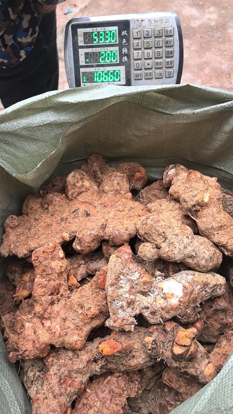 精品土茯苓高质量低价批发实力商家一手货源