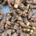 精品土茯苓高质量低价批发实力商家一手货源