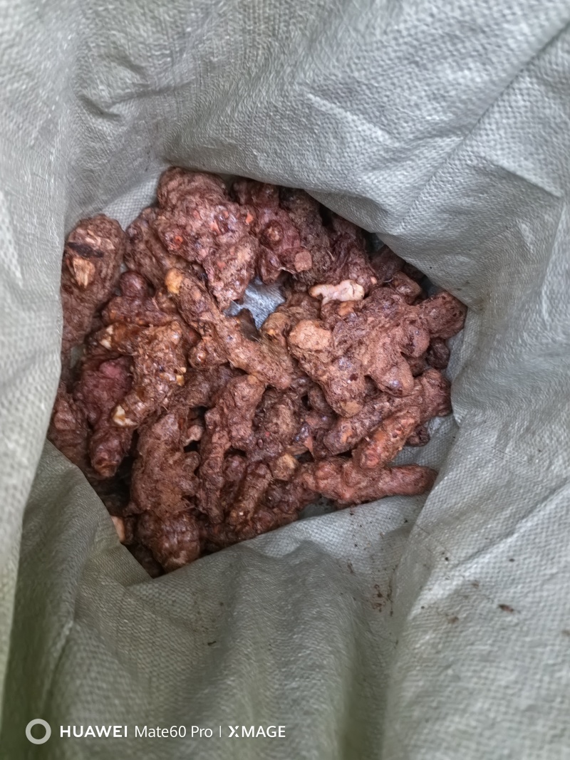 精品土茯苓高质量低价批发实力商家一手货源