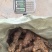 精品土茯苓高质量低价批发实力商家一手货源