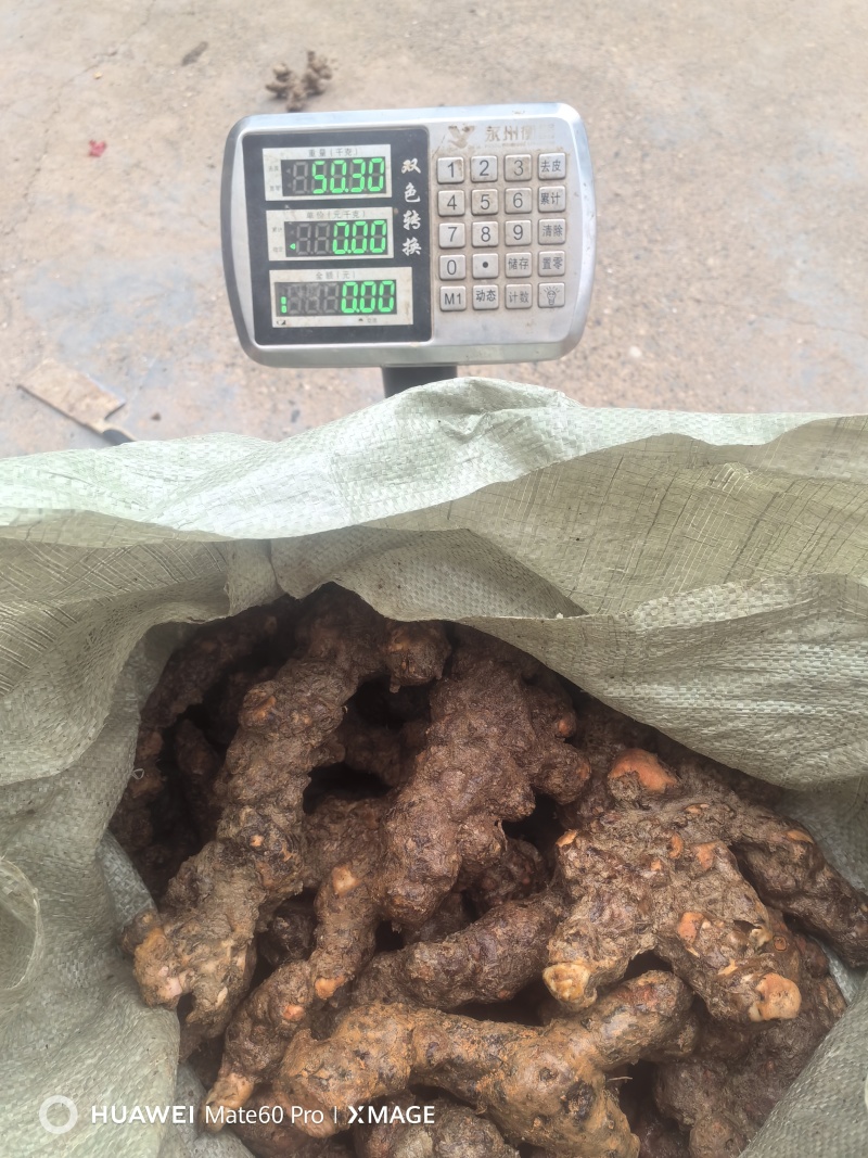 精品土茯苓高质量低价批发实力商家一手货源