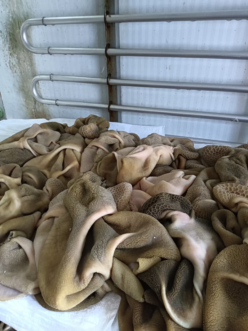高品质纯羊肚熟食加热即食羊肉汤小吃羊杂真空