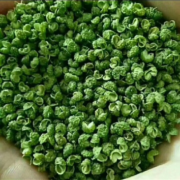 青花椒
