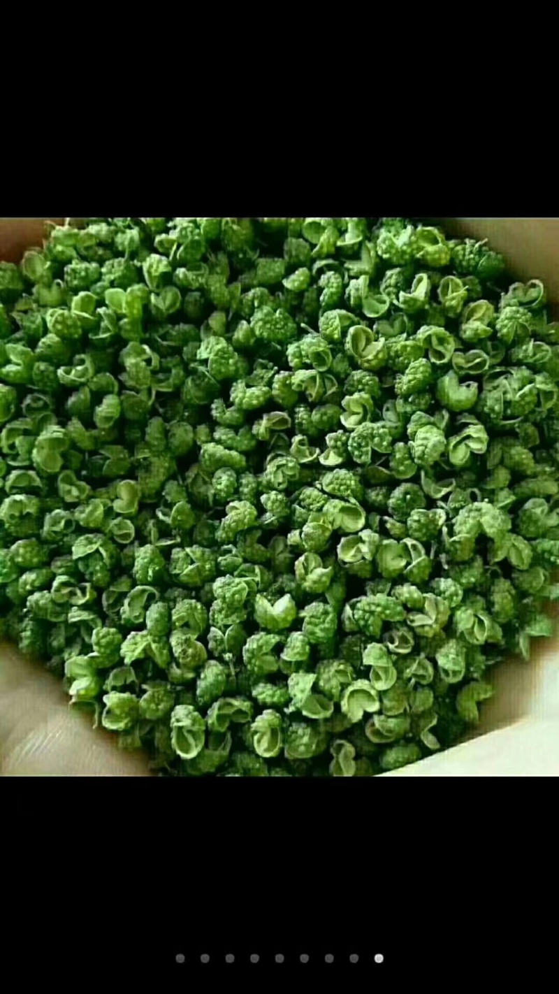 青花椒