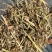 花生秧草段无土无膜无霉变，质量保证。保售后服务。