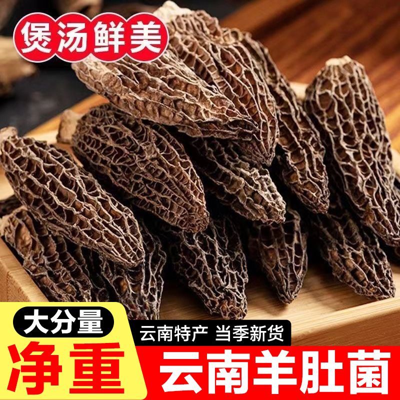 新鲜羊肚菌云南特产干货虫草日晒菌蘑菇煲汤