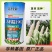 苏科糯1902加甜糯玉米种子耐热高产专业户海南广东广西包