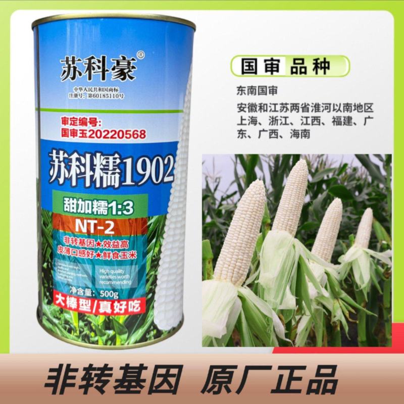 苏科糯1902加甜糯玉米种子耐热高产专业户海南广东广西包