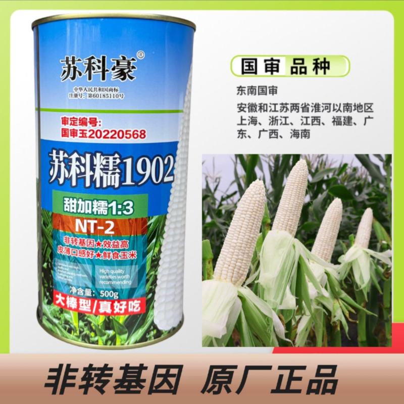 苏科糯1902加甜糯玉米种子耐热高产专业户海南广东广西包