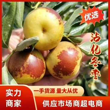 【实力】沾化冬枣大量现货，专业对接各大电商，支持一件代发