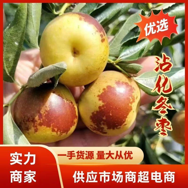 【实力】沾化冬枣大量现货，专业对接各大电商，支持一件代发