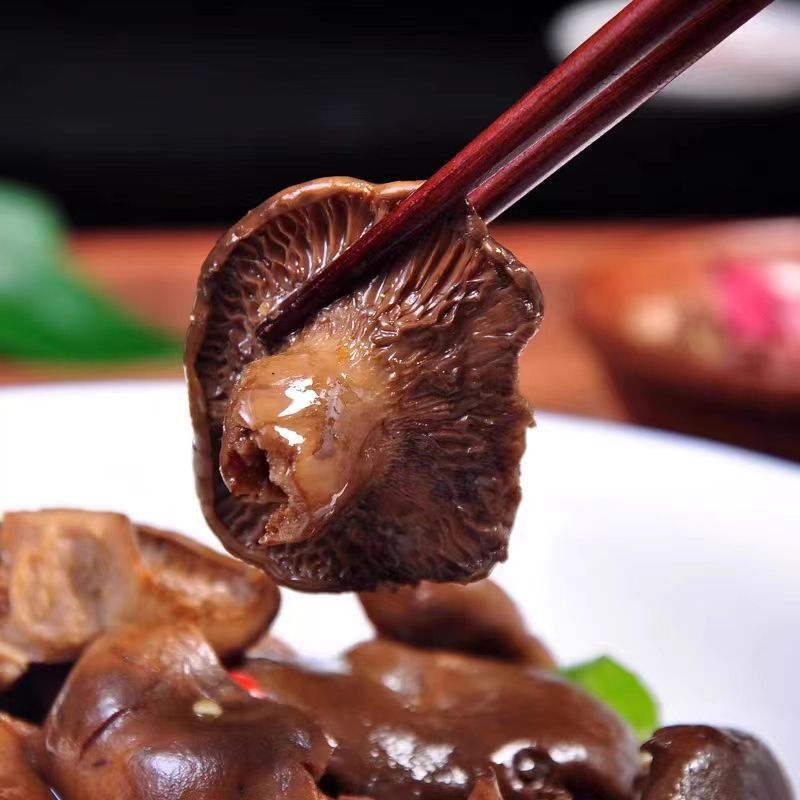湖南湘西松树菌干货土特产寒菌枞树菌新鲜清水菌野生菌松乳菇