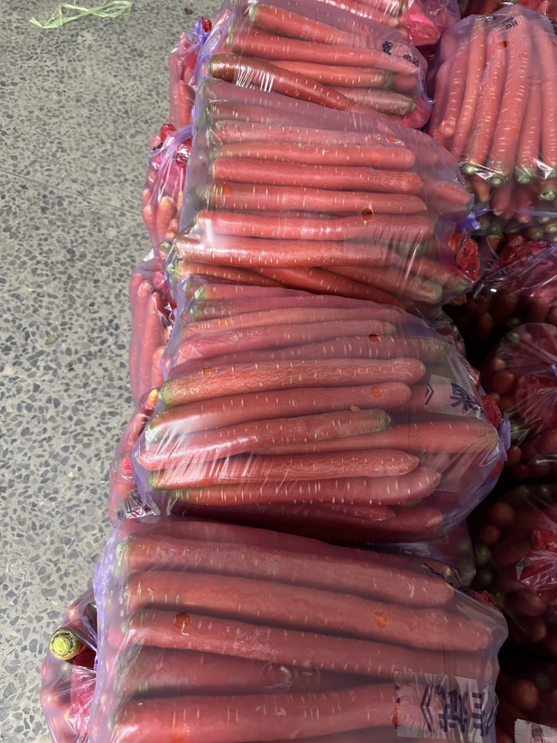 陕西精品沙土地水果红萝卜新鲜供应产地直发欢迎批发