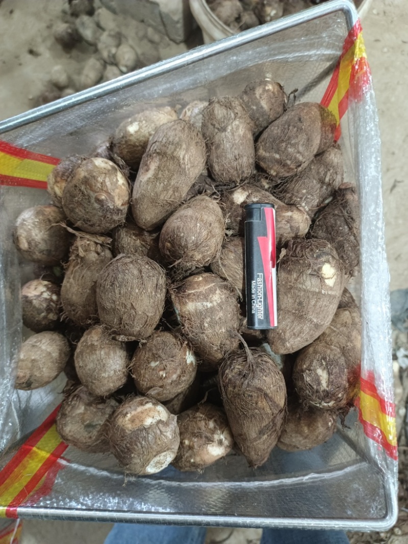 牛奶芋头口感细腻品质保证规格齐全量大从优！