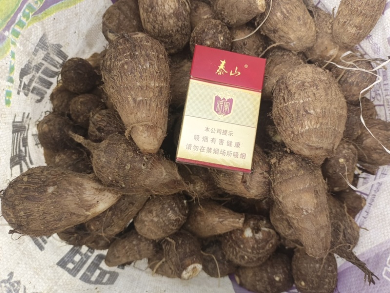 牛奶芋头口感细腻品质保证规格齐全量大从优！